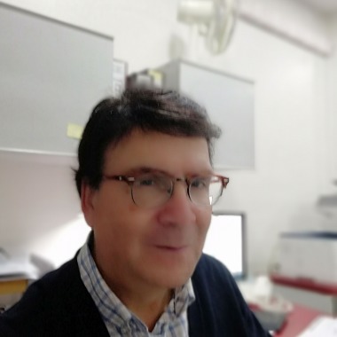 Sercat Ltda
