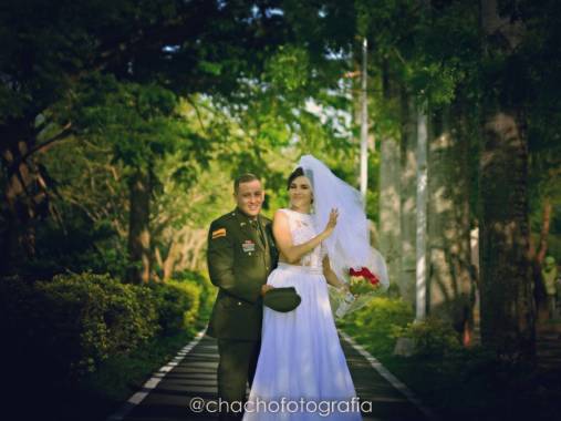 Bodas