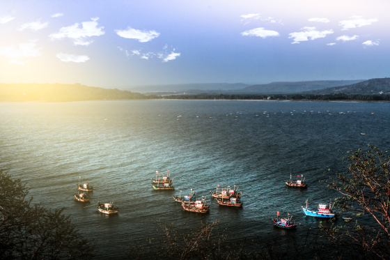 Flock of Boats moving into a static direction