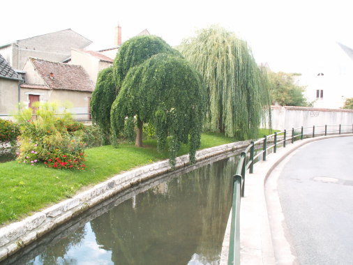 pelouse et muret aquatique à Meung sur loire