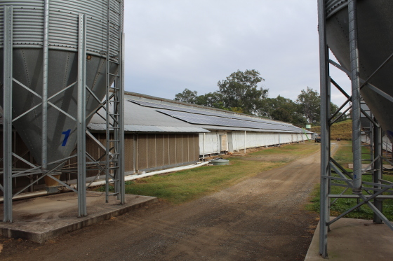 60kw commercial solar pv installation
