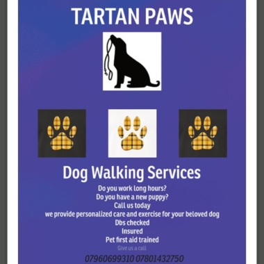 Tartan Paws