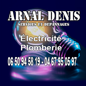 Arnal Denis Services Et Depannages