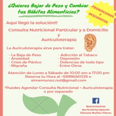 Nutricionista Con Mención En Gestión Y Calidad - Auriculoterapeuta 