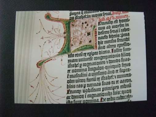 4000 lettrines sur une reproduction numérotée de la bible Mazarine.
calligraphie et enluminure traditionelles
