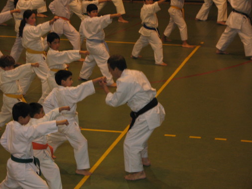 Seminario de Karate en Santiago con junto al Soke Hirokazu Kanazawa, 10mo. Dan, quien es uno de los más reconocidos y respetados maestros de Karate tradicional de todos los tiempos.
