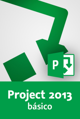 PROJECT PARA PROFESIONALES