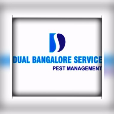 Dual Bangalore Service
