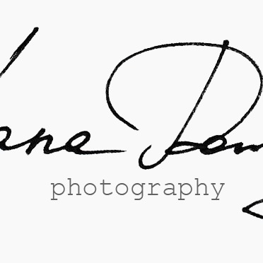Lana Dowling Photography