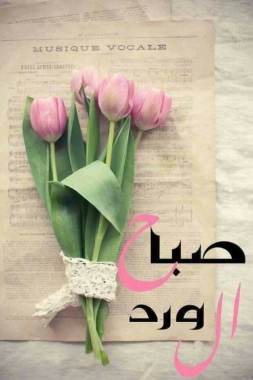Nourane Chatti