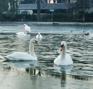 Lac  a Daumesnil