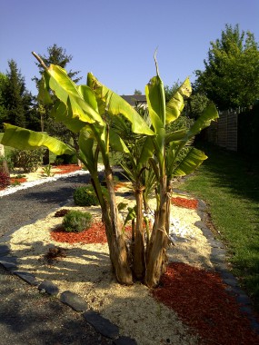 Aménagement de jardin