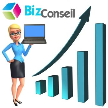 Bizconseil