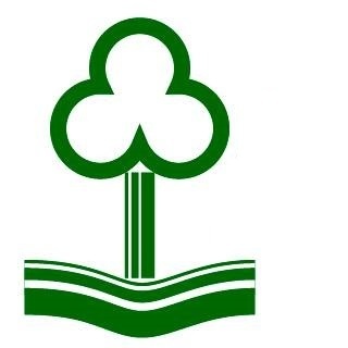 Alcarás Madeiras