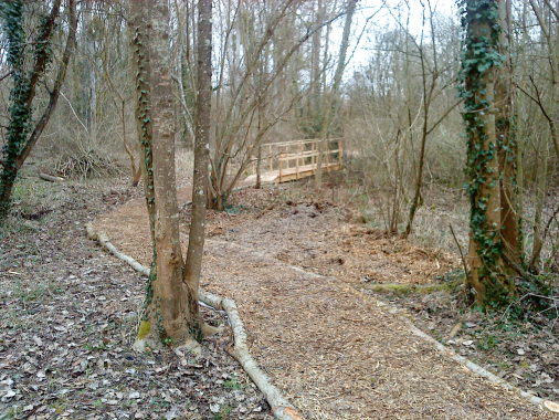 sous bois ; cheminement en copeaux + bucheronnage