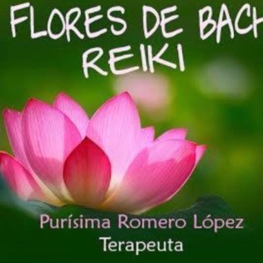 Flores De Bach-Reiki