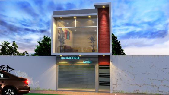LOCAL COMERCIAL P-01
