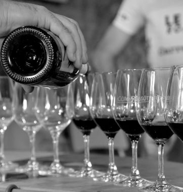 Evenementiel - Degustation de vin - Condrieu - cote rotie