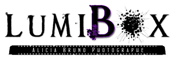 Lumibox