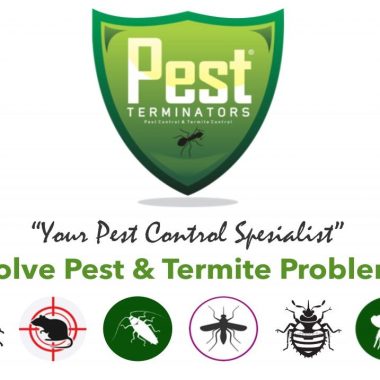Pt.Rds ( Pest Terminator Indonesia )