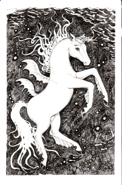 Sea Horse - Illustration