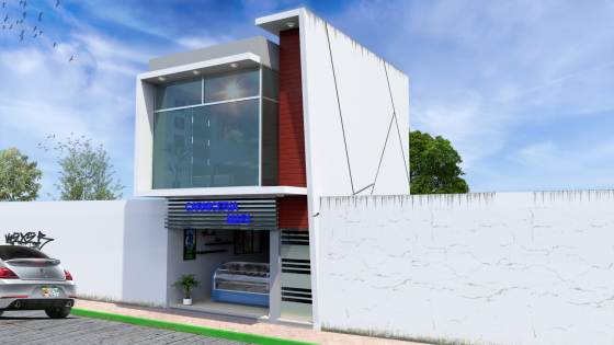 LOCAL COMERCIAL P-01