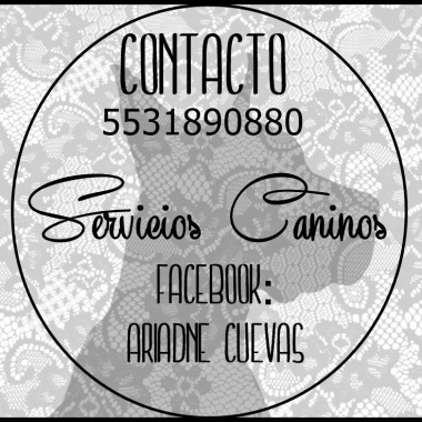 Servicios Caninos Cdmx