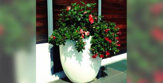 Az Jardins