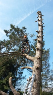 abattage par demontage