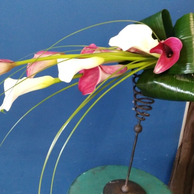 El Lliri Blau Floristes