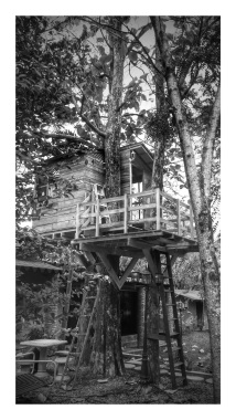 Casa en Arbol