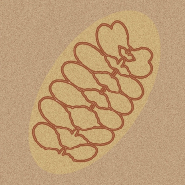 Agnes Graphiste