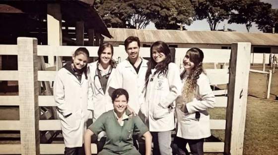 Equipe de clinica medica de grandes animais FAMEV-UFU