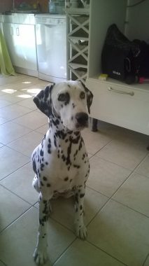 Praline la coquine