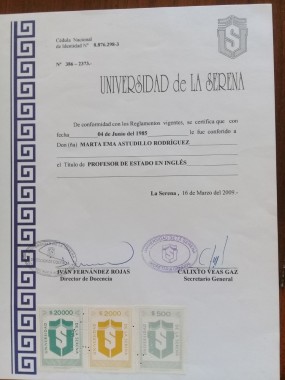 Titulo de profesora