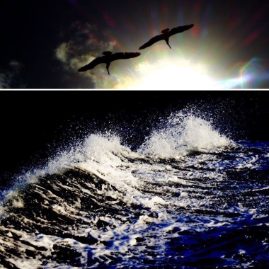 Caroff.L.Photos