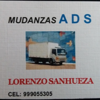 Mudanzas Y Fletes , Dentro Y Fuera De Stgo
