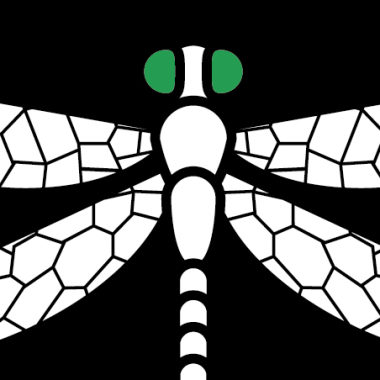 Dragon Fly Vision 360