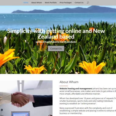 Website Hosting And Management