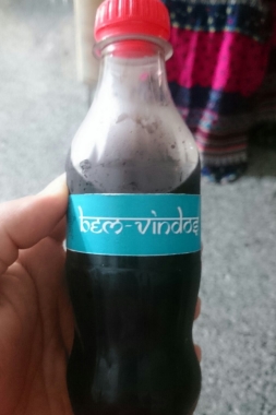 | Festa Índia | Rótulo para refrigerante