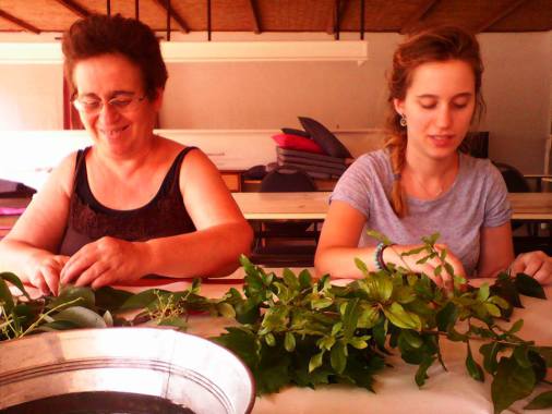 Cours particuliers, atelier Mère-Fille, ateliers Copines, tout est possible!
