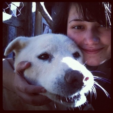 Sophia - Dog Walker