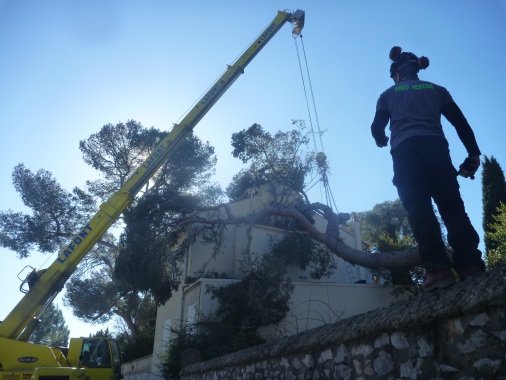 Travaux d urgence tempête février 2015