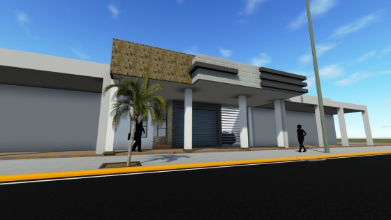 Proyecto Sra. Patricia Valle (Sector Apolo)