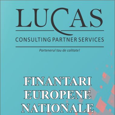 Lucas Consulting Partner Services