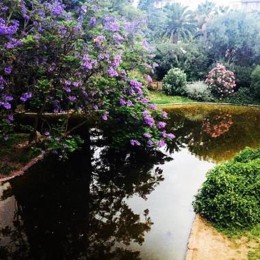 "Natura non morta" Parco 2Giugno -Bari-