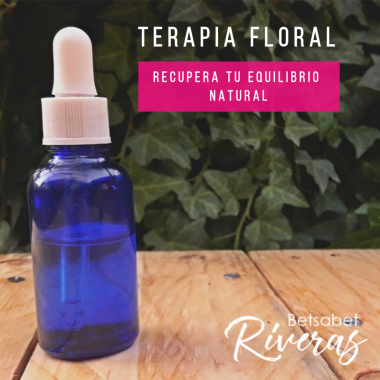 TERAPIA FLORAL EVOLUTIVA LAS CONDES