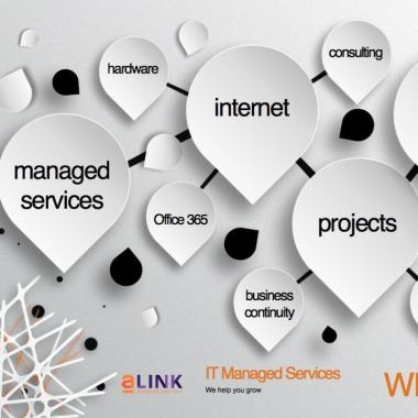 Alink It Managed Services