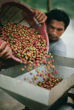 Adena Coffee