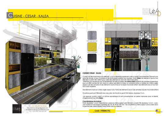 Extrait d'un book, pour aménagement d'un appartement tout en longueur.